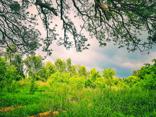 Dark black clouds in the sky in rainy seasons