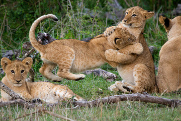 Got You!