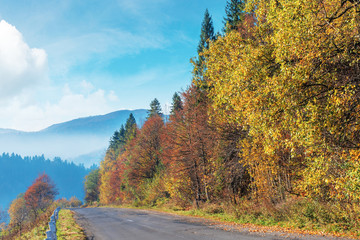 Fototapeta premium old cracked asphalt road in mountains. straight path along the forest on hill. trees in fall colors. distant ridge in haze. sunny autumn weather with fluffy clouds on the bright blue sky
