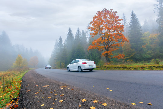 new asphalt road through forest in fog. vehicles driving by in to the distance. mysterious autumn scenery in the morning. tree in orange foliage, some leaves on the ground. gloomy overcast weather.