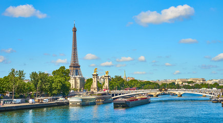 Fototapeta na wymiar Paris - Pont Alexandre III with Eiffel Tower in the Background