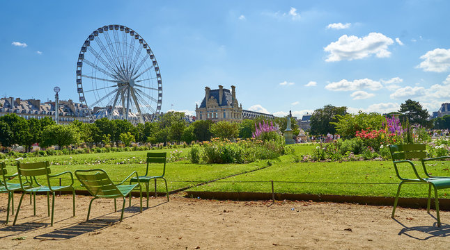 Famous Park "Jardin des Tuileries" with Ferris Wheel next to Louvre Museum