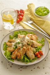 Fresh vegetable and chicken salad