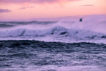 Diamond Beach near Jokulsarlon Glacier Lagoon during sunrise - Iceland - Winter