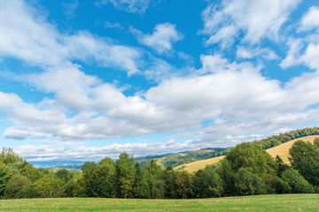 Fototapeta premium beautiful countryside in early autumn. trees along the grassy meadow on the hill. sunny weather with cloudy sky. mountain ridge in the distance. wonderful scenery of carpathians
