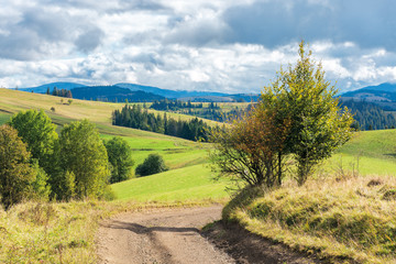 beautiful countryside in early autumn. trees along the path through meadow on hill. sunny weather with cloudy sky. mountain ridge in the distance. wonderful scenery of carpathians