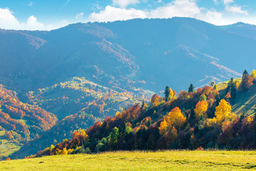 wonderful autumn afternoon in mountains. trees on the hill in colorful fall foliage. sunny weather with clouds on the sky. traditional carpathian countryside landscape with rolling hills