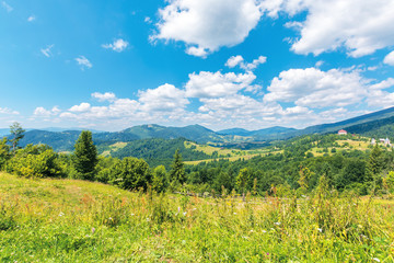 Fototapeta na wymiar wonderful summer afternoon in mountains. trees on the hill in green foliage. sunny weather with fluffy clouds on the sky. traditional carpathian countryside landscape with rolling hills