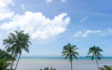 Fototapeta na wymiar Coconut trees and beautiful sea and clouds full of sky