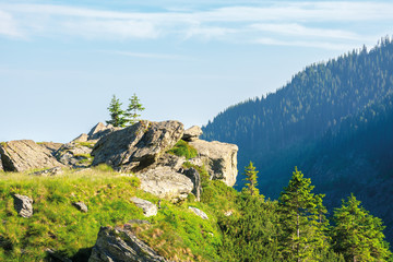beautiful summer scenery of fagaras mountains. spruce trees on the huge boulders on the grassy steep slope. sunny weather with clouds on the blue sky