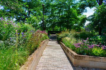 Fototapeta premium Path with Native Plants at a Downtown Chicago Park during Summer