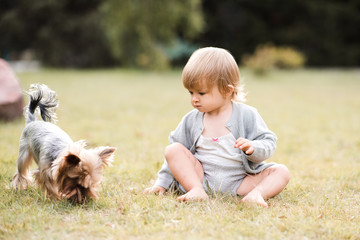 Cute baby girl 1-2 year old sitting on green grass in park with pet dog. Friendship. Summer season.