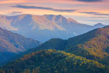 fagaras mountain ridge at dusk.  forested hills and high peaks in reddish light. amazing scenery of romania nature. clouds on the purple summer sky
