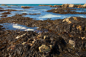 North Shore. Isla Iona. Inner Hebrides, Scotland. UK