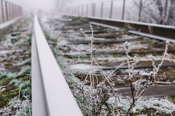 Rails in hoarfrost. Misty autumn morning.