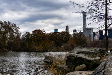 Central Park and Manhattan skyline background