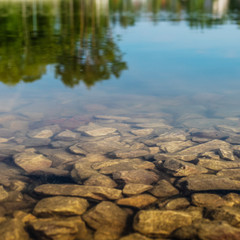 The rocky shore of the pond.