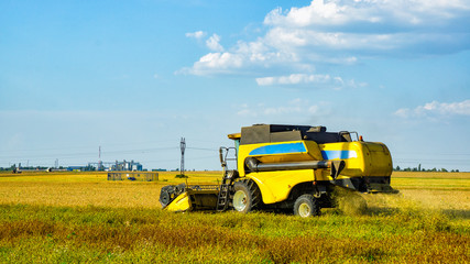 Obraz premium The harvesting mechanism cleans the wheat