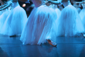 Corps de ballet performance in classic costumes at the time of curtsy