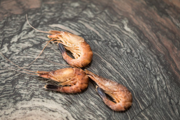 Ganze Norddeutsche  Nordsee Krabben mit Schale und Karkassen