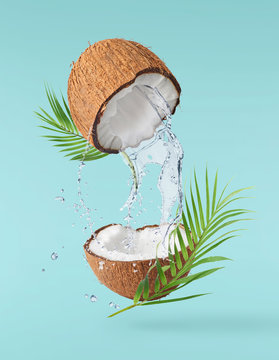 Flying in air fresh ripe whole and cracked coconut with palm leave