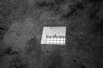 impossible reflexes in the water