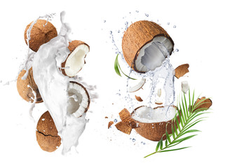 Creative Collection set with Flying in air fresh ripe whole and cracked coconut with milk splashes