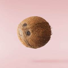 Fresh ripe coconut isolated on pink background