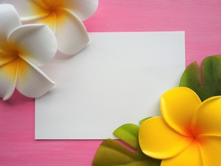 プルメリアの造花のフレーム、夏のイメージ