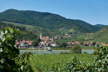 Fototapeta na wymiar The village Spitz on the Danube with vineyards and the Danube in the foreground