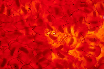 Close up macro view of raw ripe squashed raspberry texture.