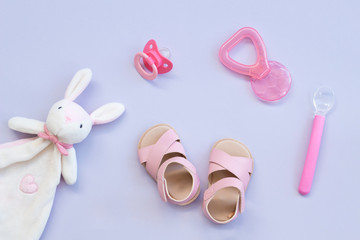  the pink baby shoes, pacifier, teether, food spoon and rabbit toy