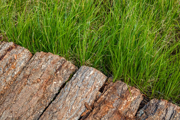 wooden road and tall grass with copy space. Background Texture