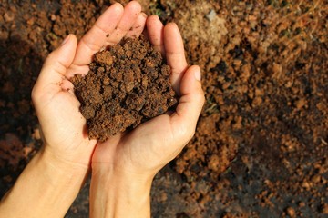 Young women clutching the soil in the hands, brown soil background