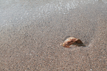 Waves crashing on rocks on  beach. Scenic seascape. Beautiful surf at seaside. Splashing waves with foam. Travel and vacation on shore. Rocky coastline. Nature power.