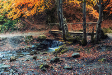 Beautiful wooden bridge pathway in the deep forest over a turquoise colored water creek in Plitvice, Croatia, UNESCO world heritage
