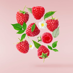 Fresh ripe raspberries, green leaves and flowers flying in the air