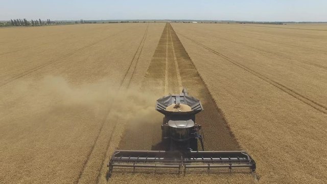 Fendt Ideal. Flight over the harvest of wheat on the field 4k video aerial view.