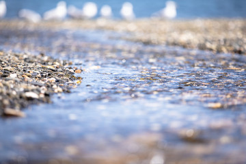 stones in water