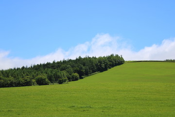 草原イメージ