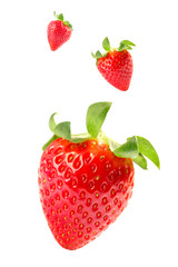 Isolated falling fruits. Photograph of fresh strawberries flying isolated on white background. Healthy sweet food. Food levitation concept. Creative food layout. High resolution image.