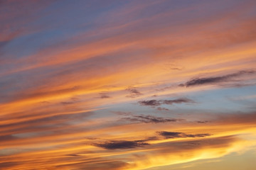 Obraz premium Beautiful vivid sunset sky with floccus clouds lit by setting sun.