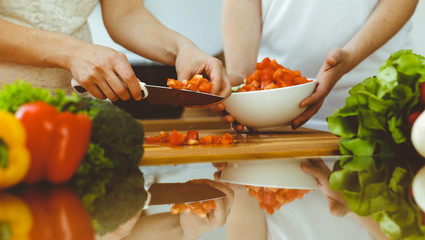 Closeup of human hands cooking in kitchen. Mother and daughter or two female friends cutting vegetables for fresh salad. Friendship, family dinner and lifestyle concepts