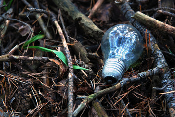 Light bulb lying on ground in forest among twigs, cones, fallen needles and grass. Planet pollution idea, human activity and energy industry waste