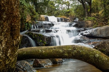 waterfall with a tree trunk