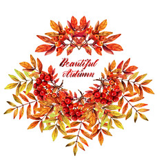 Obraz premium Watercolor illustration. Beautiful autumn, branch of mountain ash. Postcard for you set. handmade. Background white