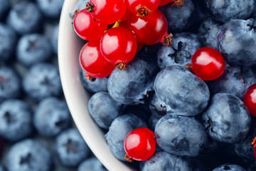 Fresh selected blueberries and red currant in bowl, close-up