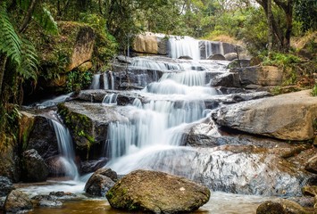 waterfall landscape with trees and branches