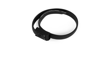 Collar for dogs and cats from fleas, lice and ticks isolated on white background. Therapeutic and...