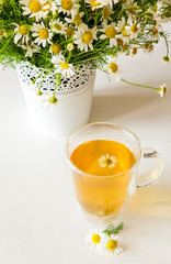 Herbal tea with fresh chamomile flowers on light background